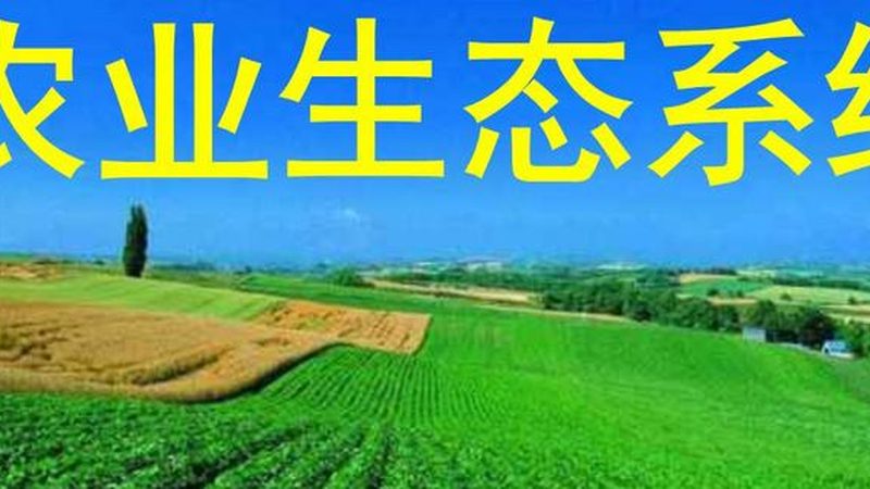 家庭农场品牌推广：从土壤到市场，全方位策略解析