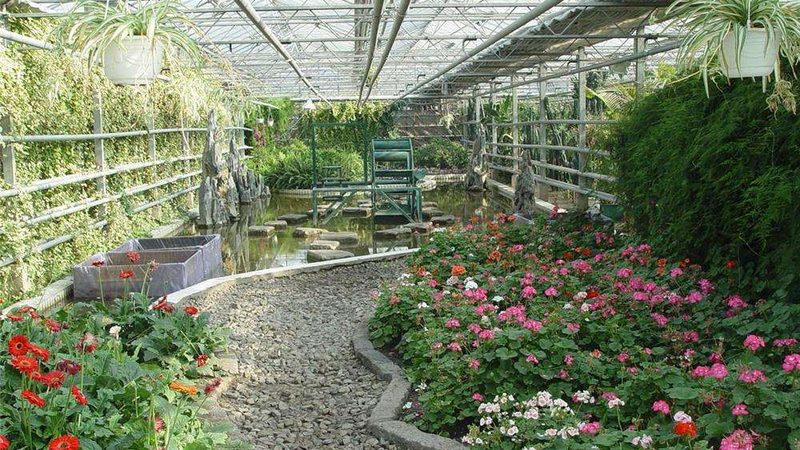 生态农业种植项目：构建可持续的绿色未来