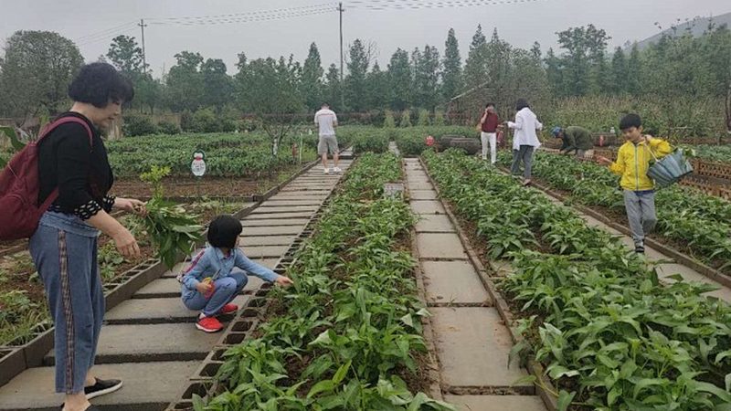 农业合作社贷款，如何选择合适的金融机构？**