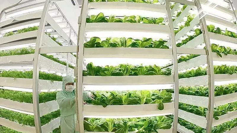 GB 2763：食品农药最大残留限量