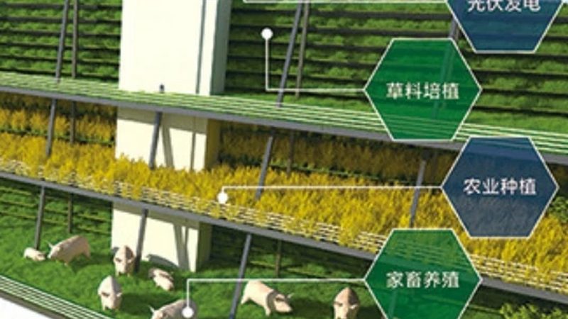 食品级塑料材质型号分类解析