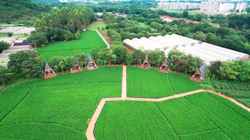 农机合作社盈利模式分析：多元化路径探索