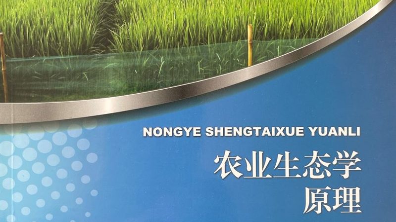 果蔬配送公司：优缺点解析与行业洞察