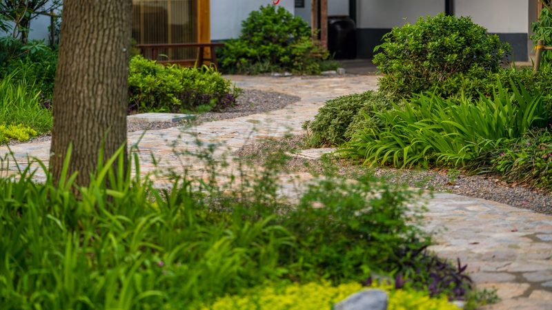 种植技术升级：优缺点全面解析