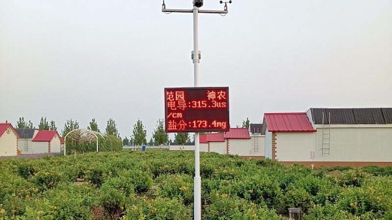采摘园选址：如何规避误区，选择靠谱公司**