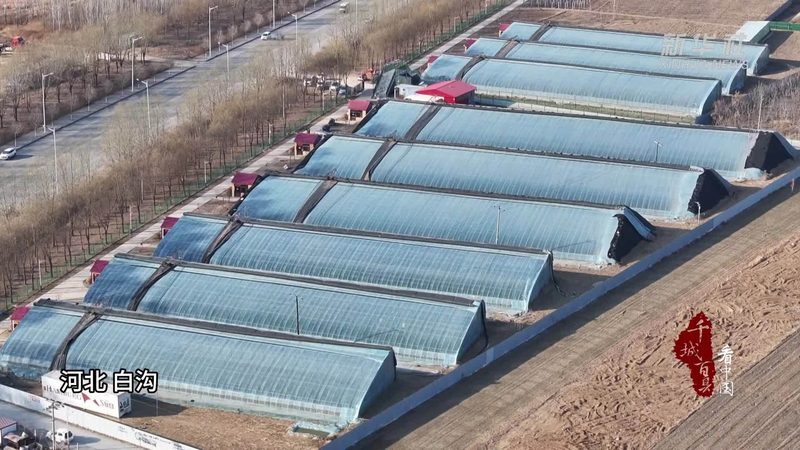 绿色食品批发市场加盟：揭秘绿色食品市场新机遇