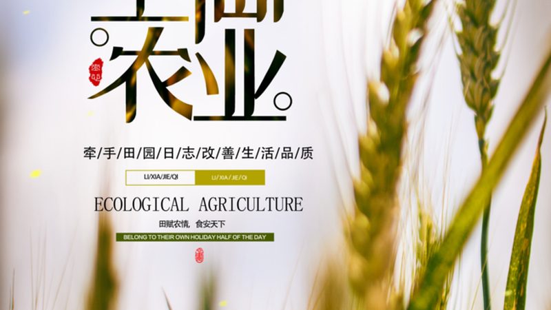 智慧农业种植系统定制方案：打造高效可持续的农田生态