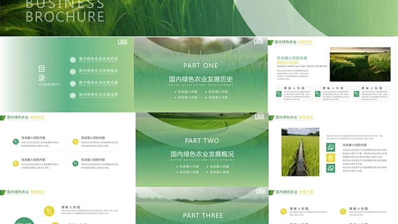 绿色食品加盟回本周期
